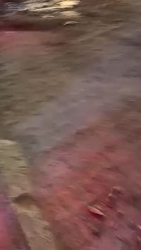 لينكولن افياتور موديل ٢٠٢٠ السياره جاهزه وبأسمنه شرط التحويل تايرات مش...