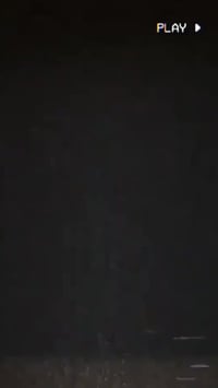 محرك تايكر • حالة زينة • جامعة ديالى