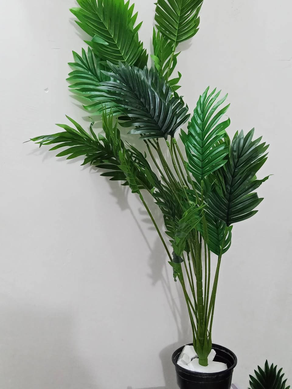 السلام عليكم شباب أغراض منزلية ورد أشجار جهاز رياضة ايباد فراش اطفال فرش جهاز تيلسكوب كيتار كلشي موجود بصور متوفر باسعار مناسبة الشراي يتواصل ***********
