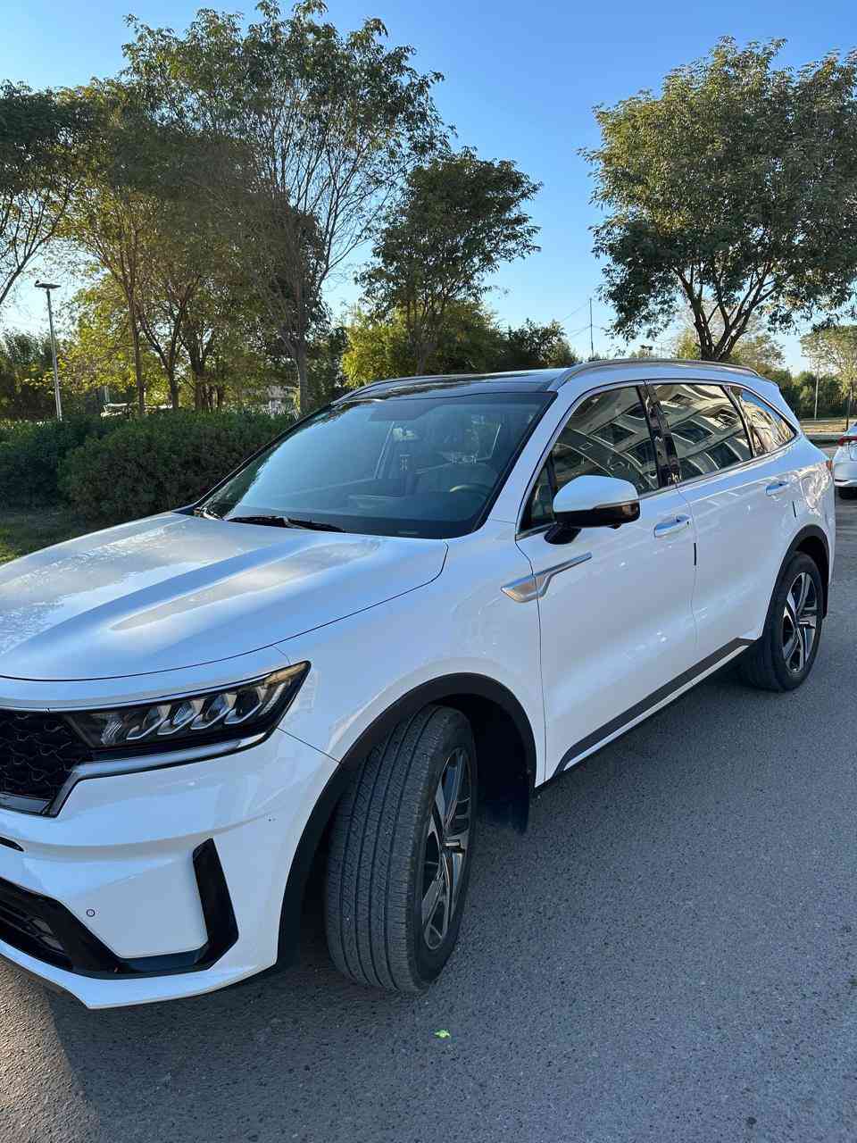 السلام عليكم من رخصة الآدمن

مكلف بالنشر للاستفسار الاتصال 
عالرقم ***********

سورنتو 2021 خليجي
ماشيه 54 الف كم
والسونار منشور وية الصور 
السيارة فول مواصفات للاخير
فور ويل
محرك 6 سلندر 3500 
7 راكب + 3 قطع تبريد
كير ماوس 8 نمرة 
سقف بانوراما 
كاميرات محيطية 
كشنات تدفئة وتبريد 
كشنات جلد وكهرباء 
حساسات امامي وخلفي
شاشة كبيرة 
بردات خلفية 
صندوك كهرباء وباقي المواصفات المعروفة
رقم بغداد بأسمي تحويل مباشر 
المكان بغداد الكاظمية 
السعر 290$ وبيهه مجال بسيط
