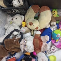 غراض بيت • نضيفه • خطيب