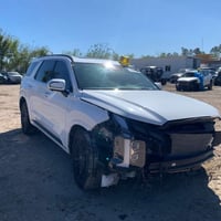 بلاك ادشن • فول • البصرة