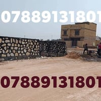 07889131801