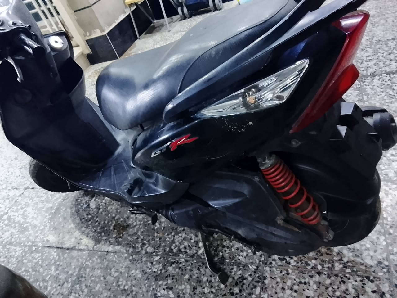 ماكس ثعلب للبيع بلادي ختم واحد مكان بغداد كماليه ***********شريه يتصل
