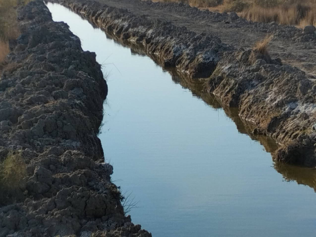 بسم الله الرحمن الرحيم 
5 دوانم زراعيه للبيع 
صوب بني ركاب 
قرب بعير
ماي مستمر
 الكاع بين نهرين 
وجه الكاع 55ونزال 250
السعر على الخاص 
للتواصل الاتصال على الأرقام 
الموجوده بالاعلان 
***********
***********
او مراسلة الصفحة 
#هادي_الحجيمي
