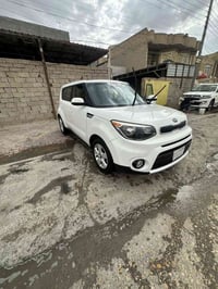 ٢٠١٧ • حادث امامي • وارد امريكي