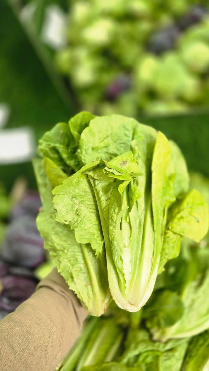 الهم صل وسلم على نبينا محمد وآله ⚘👇

مسواك يوم الجمعة 2/13

#للحجز رقم الواتساب ***********

باقلاء خضره 1500

اسود عراقي 1250

بطاطا 750

طماطه البصره 750

شلغم 750

خس 1000

خس 1250

بصل بارد 750

بصل اخضر 750

فطر 2000

باميا مجمده 2000

خيار ماي 750

#سبيناغ 1000

ذره عرنوص 1000

لارنج عراقي 1500

ليمون اصفر 3000

شونذر 750

قرنابيط 750

لهانه حمره 750

لهانه خضره 750

شجر1000

بصل حار عفج 1000

فلفل بارد 1250

فلفل حار 2000

جزر 1000

ثوم 1000

تمر خستاوي 1250

تمر كاسه 2500

تمر حلان 1000

تمر مفلس بالسمسم 1500

خضره بانواعها 

باقلاء خضره مقشره

سلك دولمه 

#الفواكة 🍇🍐🍉🍎🍏🍊🍑🍌

منكا 🥭 🥭 

برتقال عراقي 2000

فراولة 1000🍓

عنب 2000

كيوي 2000

موز 1250

تفاح اصفر 1500

تفاح احمر 1250

لالنكي 1000🍊

لالنكي عسلي 1500

تفاح أخضر 🍏 3000

رمان سوري 2500

برتقال سوري 1000

برتقال مصري 1500

رمان مصري 1500

#ملاحظه
يوجد لدينا جميع أنواع

 الصمون توست صمون حجري

 وصمون كهربائي 🍞🥖

خبز شعير باب الاغا 🫓

خبز شوفان باب الاغا 🫓

#توجد لدينا دجاج البوادي بأنواعها السعر حسب الوزن 

#توجد منتجات البوادي بكل أنواعها 

#شاي 
شاي دغاره ربع 1500

شاي أخضر 

عدس كيلو 1500

فاصوليا الكيلو 2500

حب وزن 

وتوجد كل ما تحتاجه العائله

#كرزات وزن

🥚🥚 
بيض خشن صحاري احمر  6000🥚

تمن هندي 

تمن ياسمين درجه اولى  الكيلو 2000 وجيس عشر  كيلوات 20 الالف 

#يتوفر لدينا جميع أنواع الحليب 🥛

توجد لدينا جميع أنواع القهوه ☕

#يتوفر لدينا منتجات الألبان بأنواعها 🥛

توجد منتجات الاجبان بأنواعها🧀

يوجد لدينا جميع أنواع البهارات 

معجون الطماطه

زيت زيتون 

زيت الدار 900 غرام 2000

توجد لدينا العصاير🍷

 والمشروبات الغازية بأنواعه🥤

#العنوان الديوانيه حي العسكري الصدر الثاني فلكة العلماء قرب فرن بركات الزهراء 🤍

#يوجد لدينا خدمة توصيل بأسرع وقت اطلب الان من هايبر آدم 🚕
