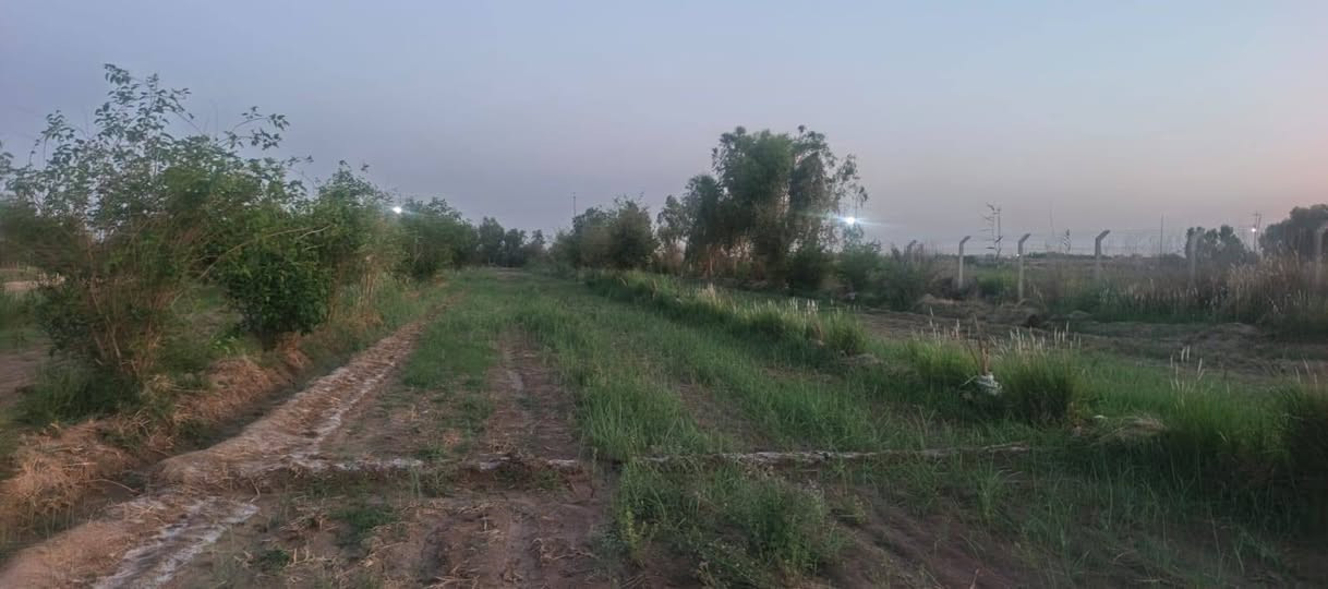 مطلوب فلاح في بستان يحتوي على دار سكن وطاقه شمسيه  طريق الدغاره قرب التسفيرات الخمسه دونم  اخوان  بدون راتب  هوه يسكن  ويزرع وستفاد  الي يحب يتواصل  هذا الرقم واتساب *********** اخوان  لاتخلي هدفك السكن وبس وبعدين نتفاشل مكلف بل نشر
