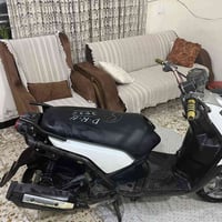 سكنس جبلي • معدل • ستيرن رياضي