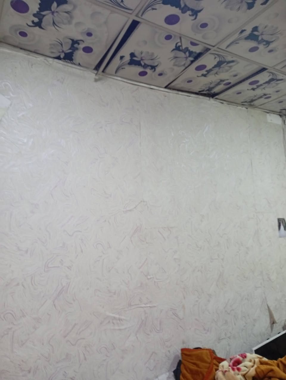 اسلام عليكم بيت حي للاصدقاء شارع بقداد بيت كله سيراميك سندويج غرفتين وصاله ومطبخ  مستعجل على بيعه


**إذا كنت صاحب هذا الإعلان وتريد حذفه لأي سبب، رجاءا أرسل رسالة إلى الدعم الفني**