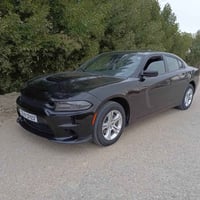 جارجار 2023بيع أو مراوس بسمي الشراي يتصل على رقم 07800724677