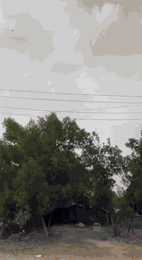 ماكس ل • كرزي • حله شارع 80