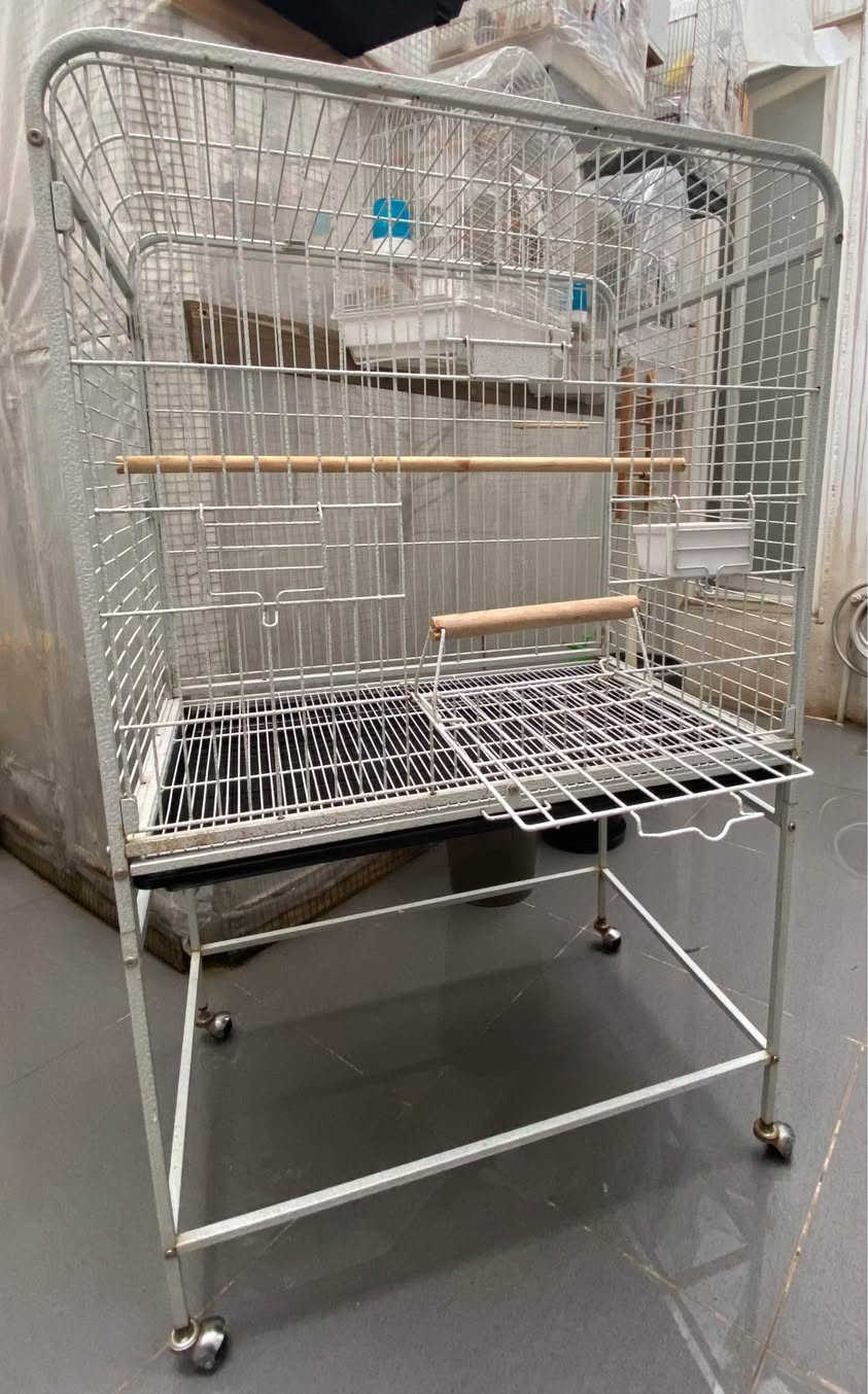 قەفەس کەم بەکارهاتوو خاوێن، بۆ کۆکتێل و تووتی گونجاوە
قفص طيور مناسب لطيور الكوكتيل والببغاء. استخدام قليل ونظيف
قياسات
عرض (پانی) ٨٠ سم
ارتفاع (بەرزی) ٧٠ سم
عمق (قوڵی) ٥٢ سم
ارتفاع مع القاعدة بالچروخ من الارض ١٣١ سم
بەرزی بە قاعیدەوە و تایەکان لە زەویەوە ١٣١ سم
نرخ (سعر) ٩٥.٠٠٠ دینار السليمانية, العراق


**إذا كنت صاحب هذا الإعلان وتريد حذفه لأي سبب، رجاءا أرسل رسالة إلى الدعم الفني**