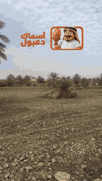 اسماك دعبول 07871999881  جربتوا اسماك دعبول ؟؟