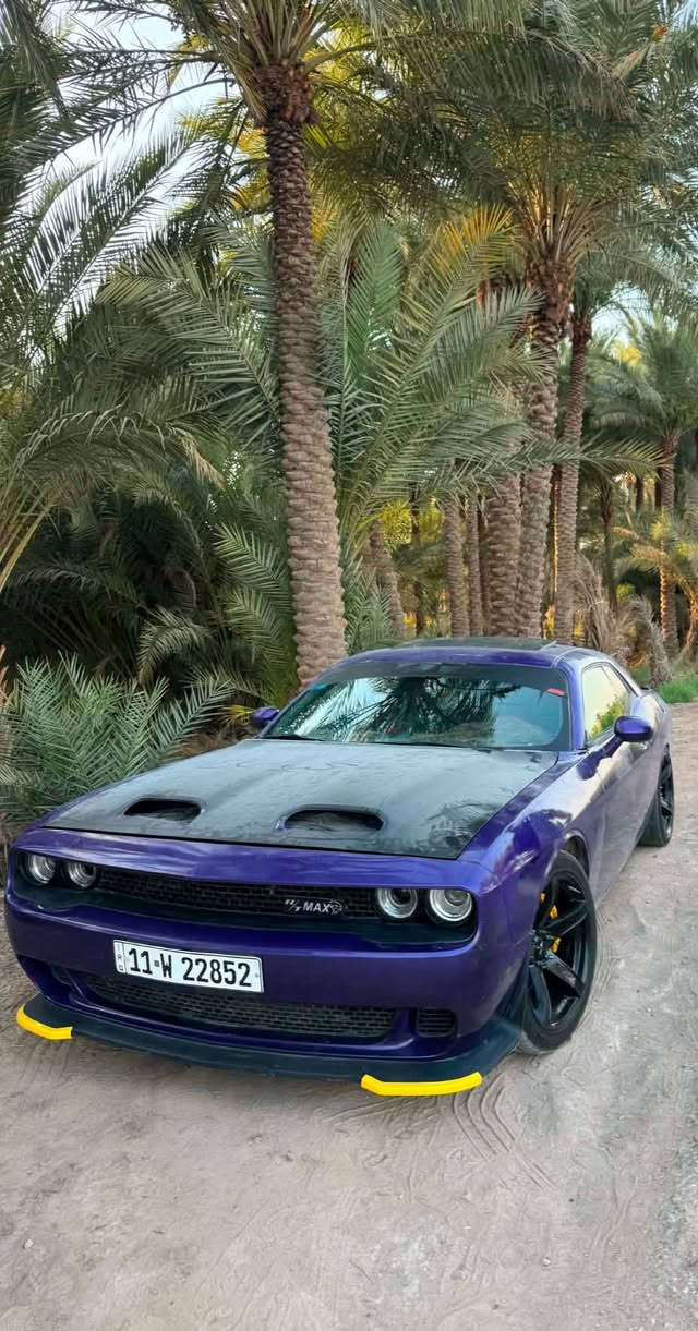 السلام عليكم ورحمة
جالنجر موديل 2013
اللون بنفسجي 
Rt max
5700
بواري قطعه وحده مع الدبات الخلفيه بدون لحيم  صوت رياضي 600 دولار ميحاسب المرور عليه
فول السياره
فتحة سقف 
سياره مصروف عليها لتقارنها براكضات
تخم بلكات 200 دولار
منظومة غاز بيها 3اوراق ونص
محرك كير كفاله
منظومة زنون 150 دولار لايت نهار
محدث امامي وخلفي بكلايت شكل جديد +دعاميات
ويل ٢٠ نجمه 
تبريد ثلج
صدر امامي جديد
لد جانبي ثلجي
لد خلفي دعاميه احمر 
كفر دسك اصفر
سبايدر ديمون
بنيد ديمون
سياره حادث امريكا فقط دعاميه وعندي صار بيها شخوط بلبيبان والجاملغات الاماميه رشيتهن يعني 4 قطع صبغ بيها اني ابيع حزام
للاستفسار الاتصال على الرقم
 ***********

