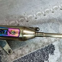 سكنس فحل • نثيه • نظيفه