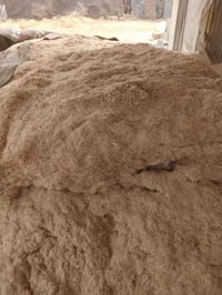 تبن مكروض للبيع07717126187