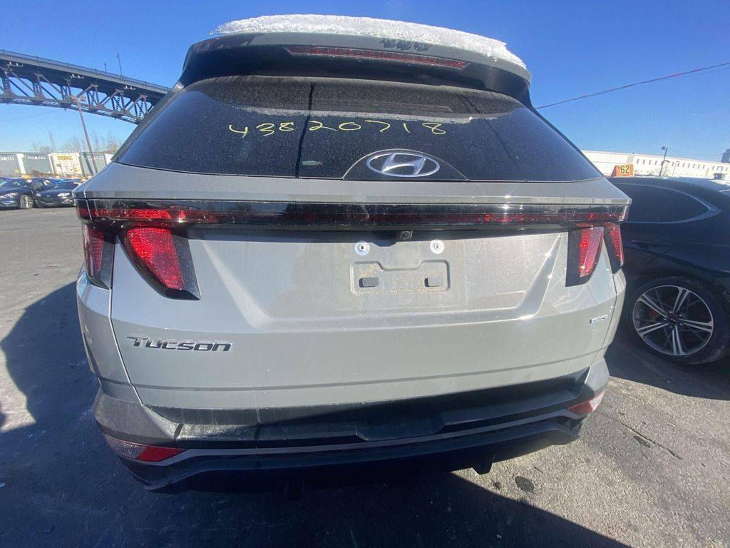 يا الله السلام عليكم اخوان وين الجنايه
توسان عدد (2) موديل 2024
حوادث خفيفه مثل ما موضح بالصور👇
دخول جديد موجوات بالحره تتكمرك وتدخل للعراق بأسم المشتري اسعار مناسبه للشراي 145 $ وبيها مجال
وما اتصور احد يحصل بهيج اسعار ويبقى ينتظر 3 اشهر
للتواصل *********** / ***********
والشراي بيه خير ويدلل
