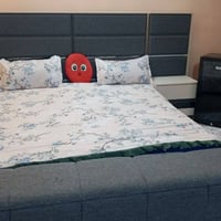 جديدة • مجال قليل • شعب ١١