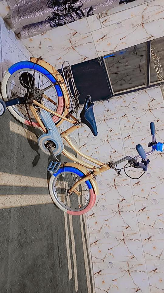 باسكلات ثنين نضيفات
الاصفر 35 وبي مجال
والاحمر 30 وبي مجال 
مكاني بغداد الشعب 
***********
