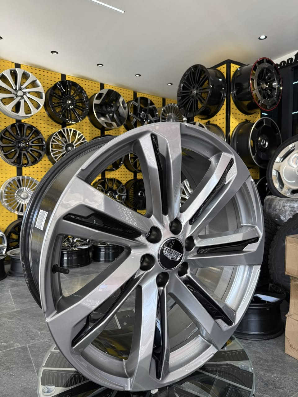 سلام عليكم
الاطارات ويل كاديلاك اسكاليد 

موجودة 

حجم24

اصلى شركة وكاله بلادى

موديل 2025

وكاله

زيرو 

مال كاديلاك اسكاليد موديل جديد 2025

الاطارات بلادى

ويل بلادى  

***********

اسعار دذلى واتساب***********
