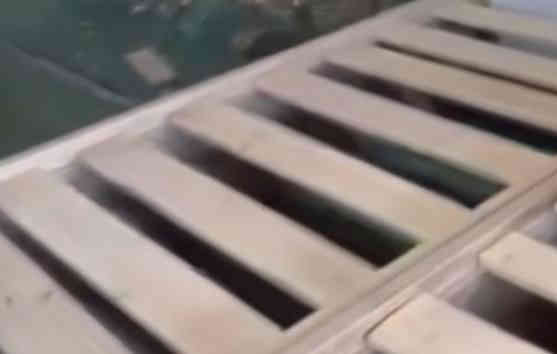 جربايات مصريه العدد 2 وحده بها ضرر وضرر بالتاج من الخلف بفطر بس رايد لمعجون  عنوان بغداد بارك السعدون ***********
