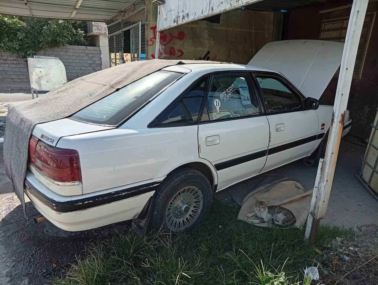 مازده هشتوبخ كيرمةكينةبةشرت ناونيشان هةوليربنسلاوه سعري ٣٣گلا***********

