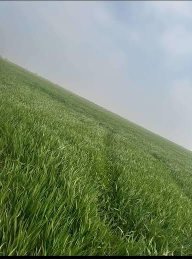 🌾 فرصة استثمارية مميزة – أرض زراعية للبيع في واسط / شيخ سعد

للبيع أرض زراعية بموقع ممتاز على خط المصندك، مناسبة للزراعة والاستثمار.

✅ المساحة: 175 دونم
✅ 25 دونم ضمن عقد (35 الزراعي)
✅ صالحة للزراعة
✅ الأرض مضروبة ليزر حوالي 75 دونم
✅ تحتوي على حصة ماء
✅ واجهة على شارع رئيسي
✅ تبعد 1 كم فقط عن الشارع العام
✅ تبعد حوالي 7 كم عن الولاية

📍 الموقع: واسط – شيخ سعد – خط المصندك.

📞 للاستفسار والمعاينة:
***********

للمهتمين يرجى التواصل، والسعر يُذكر عند الاتصال.
