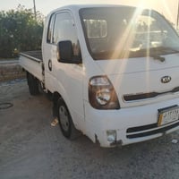 حمل • بدون صبغ • ٢٠١٦
