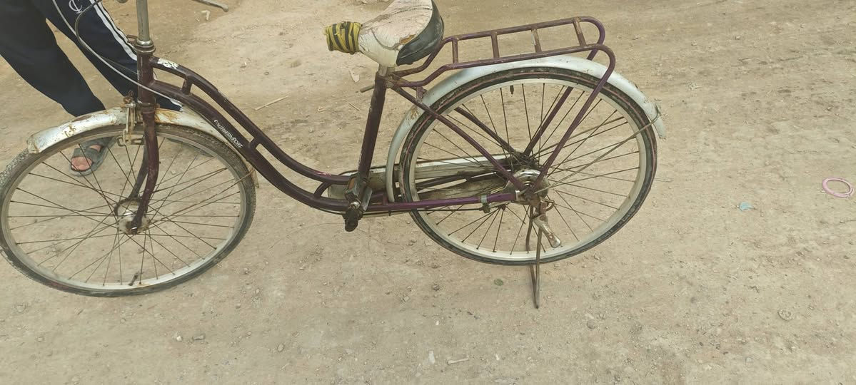 بايسكل بناتي للبيع قيم بما يرضى الله به


**إذا كنت صاحب هذا الإعلان وتريد حذفه لأي سبب، رجاءا أرسل رسالة إلى الدعم الفني**