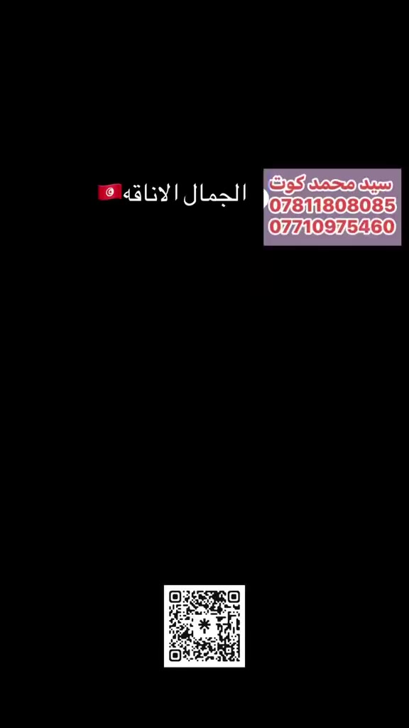 حقيبه  نسائية 🇹🇳بوكس جلد شغل عيد ❤️
الاناقه تبدّا من خطوتك 💓كوالتي عالي
✅مديلات عصريه تناسب كل إطلاله
✅راحه ➕اناقه 🟰كمال إطلاله 
✅متوفر كل الاوان كوالتي عالي 
للحجزوالطلب راسلونا على الأرقام التأليه
***********؟***********
لديناتوصيل إلى كافة المحافظات. العراقيه
