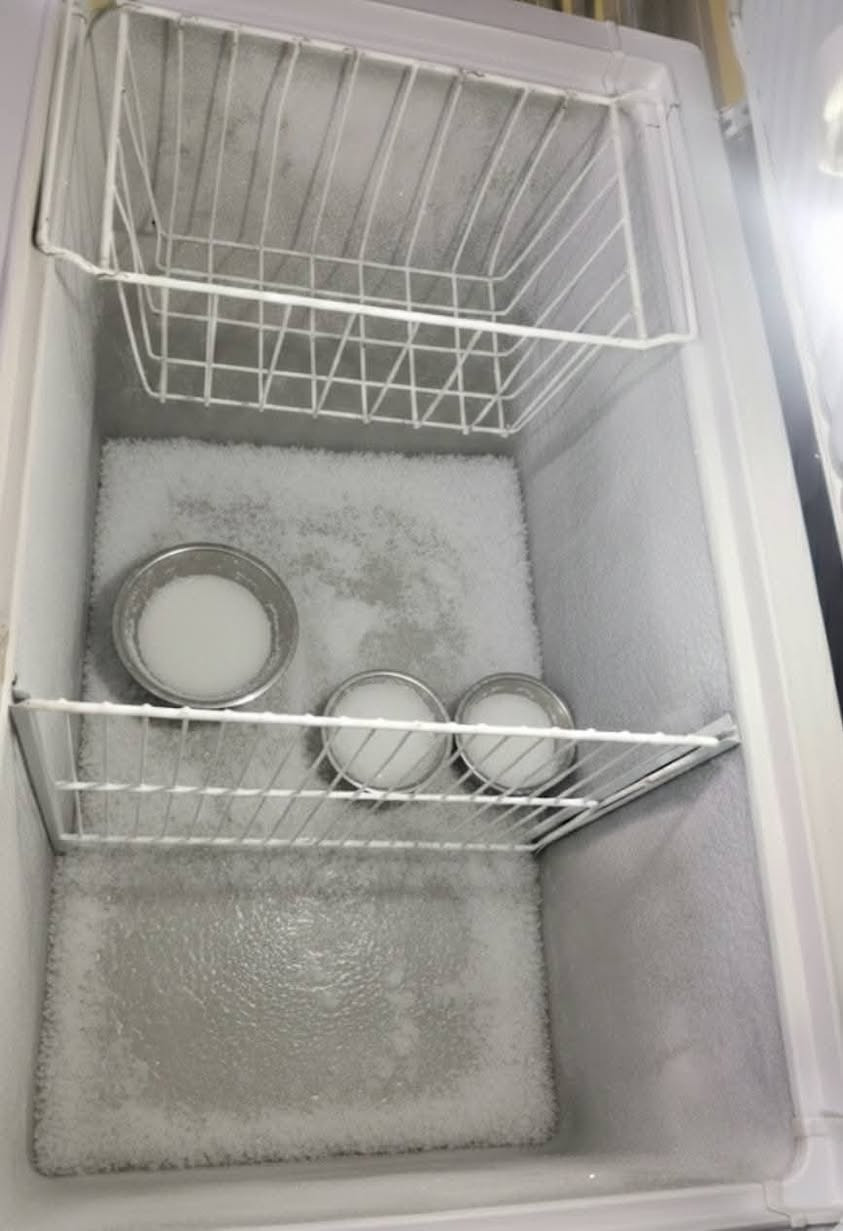 وين الي يدور سلعة اصلية ومال عمر 
مجمدات كونكورد لبناني الاصلي ماطور بانسونك ماليزي 
باب اول افضل شركة واغلى شي حاليا بالسوك مع الضمان
مكاني ناصرية مركز *********** مراسلة واتساب
