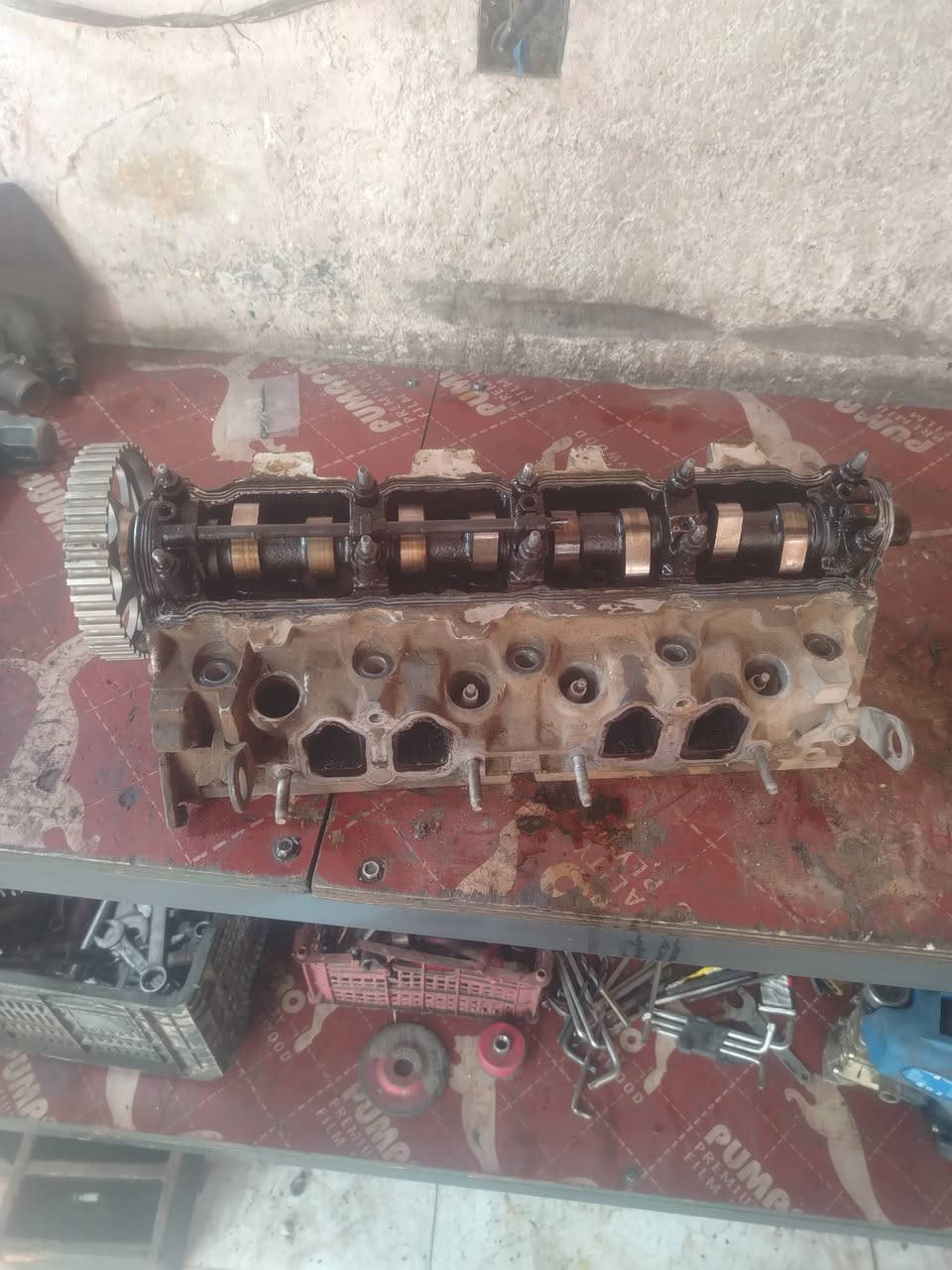 من اعمالنا فتح كاور بيجو بارص عنوانه ناصريه المركز اريدو *********** فيتر حداد
