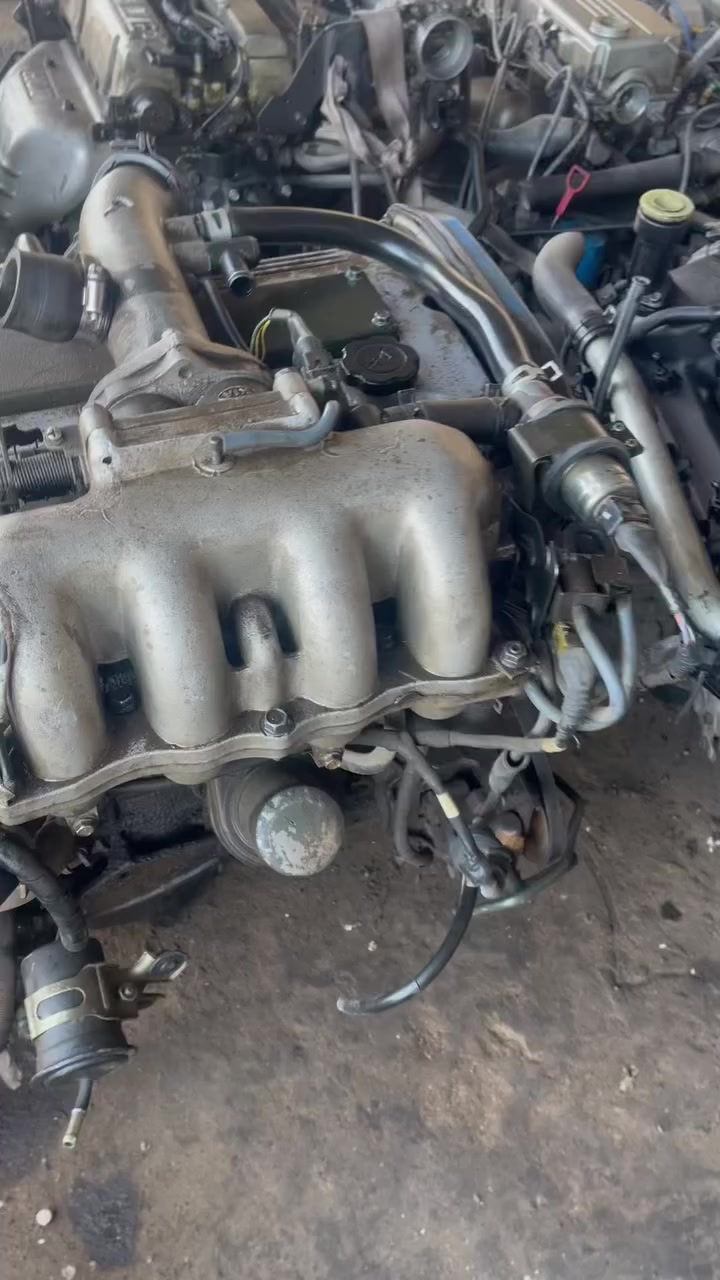 السلام عليكم
محرك سبورتج حاويه 
العنوان ديالى الخالص هبهب 
***********
