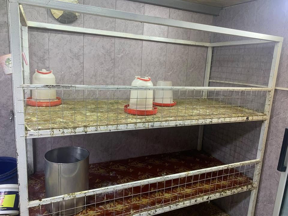 محل مال دجاج للبيع او للايجار متكامل من كل النواحي بس تنزل دجاج وتفتح خير من الله مرزوق السبب عدم التفرغ 
الموقع نعيريه قرب جامع الامام علي ( عليه السلام ) 
***********
