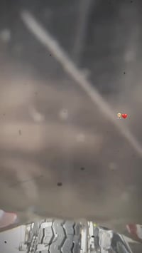 رابيدو R • نضيفه • خور الزبير