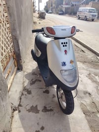 منغولي ٦٠ • سلف • شغالة