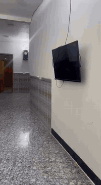 بيت للبيع مساحه 200 متر بناء حديث المكان ميسان ابو رمانه بضهر جامع بيت مخيلف السعر 200 وبي مجال 

    الاستفسار ‏‪***********
                  ‏‪***********‬‏
