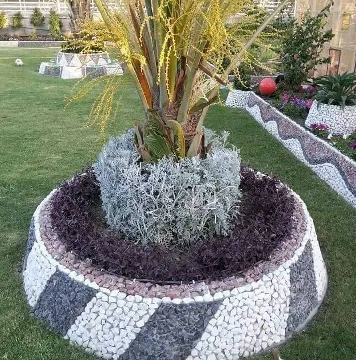 شغل ديكورات حدائق واجمل حشجر لتصال ***********
