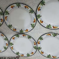 فرفوري • اسعار مناسبة