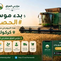 مزارعي العراق • موسم الحصاد • كركوك