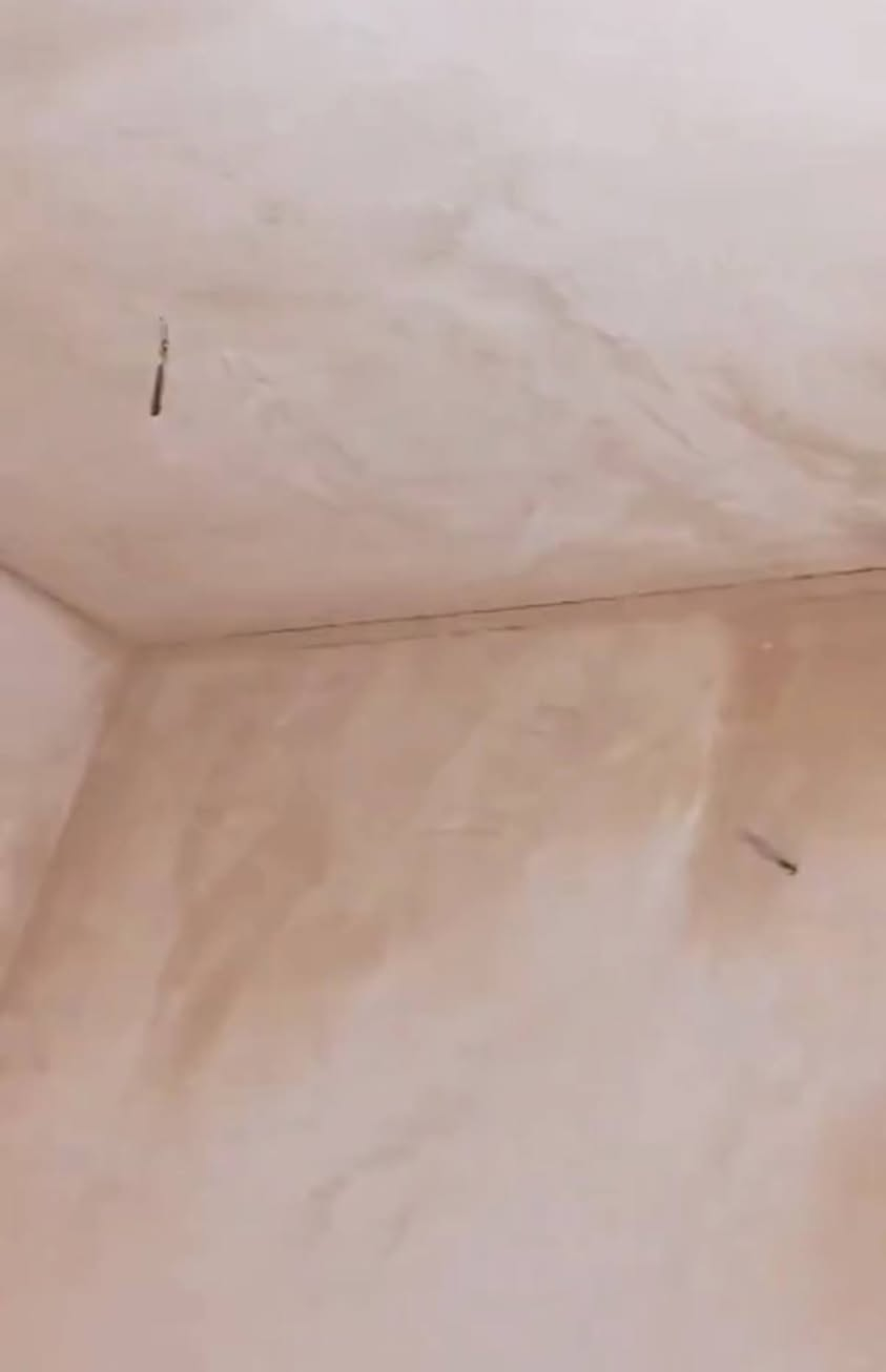 سلام عليكم اني خلفه البخ جص وسمنت متفرق حالين شغل درجه وله ومناسب وطلع بل يوميه وخذ كبالَات وعل متر اخذ المتر جص وسمنت ٥ الف *********** مكاني نجف شتغل نجف
