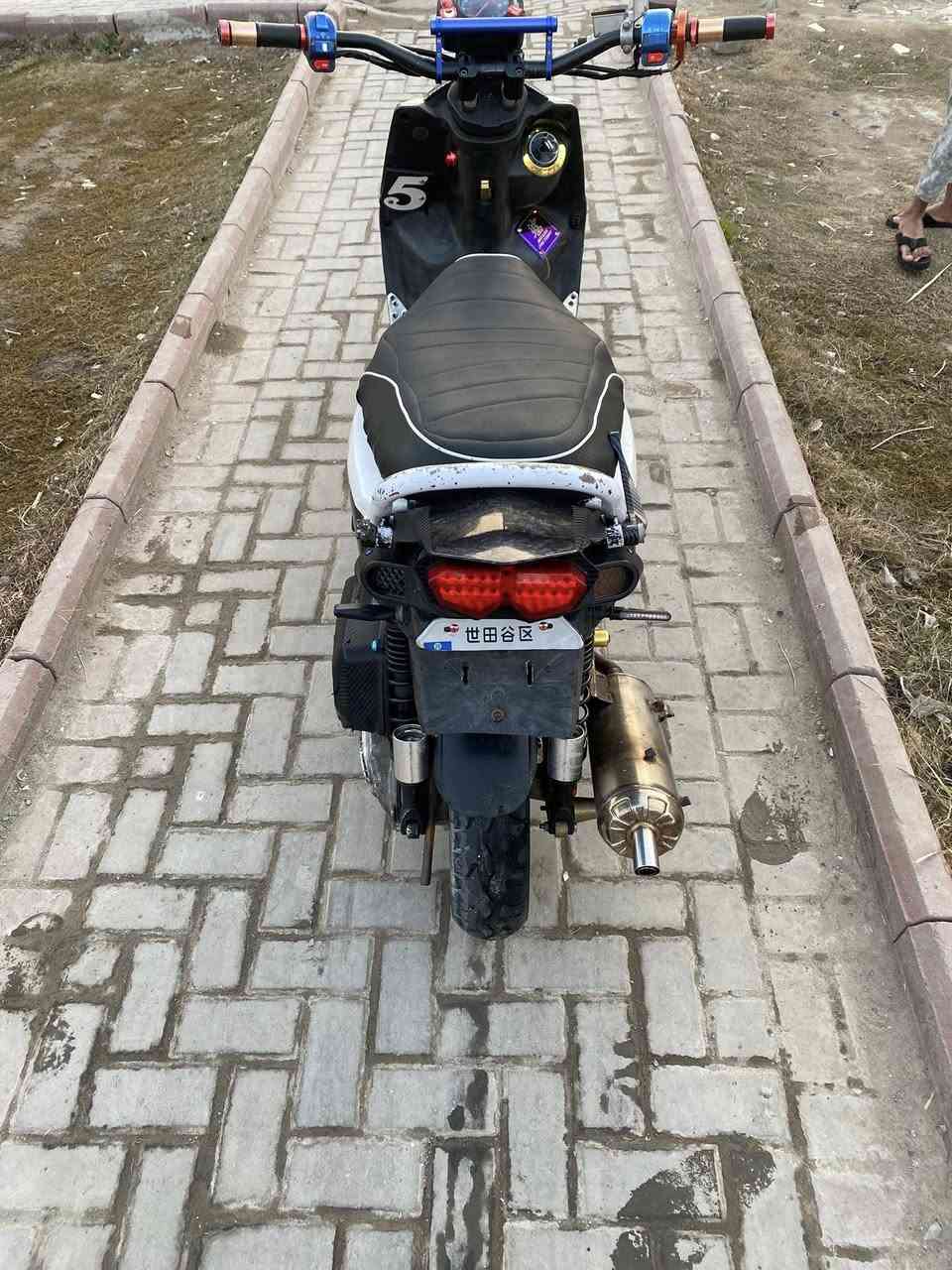 شباب سكنس جبلي مزوده متروسه خراض كور بصمه مكفوله سعر 950رقم ***********
