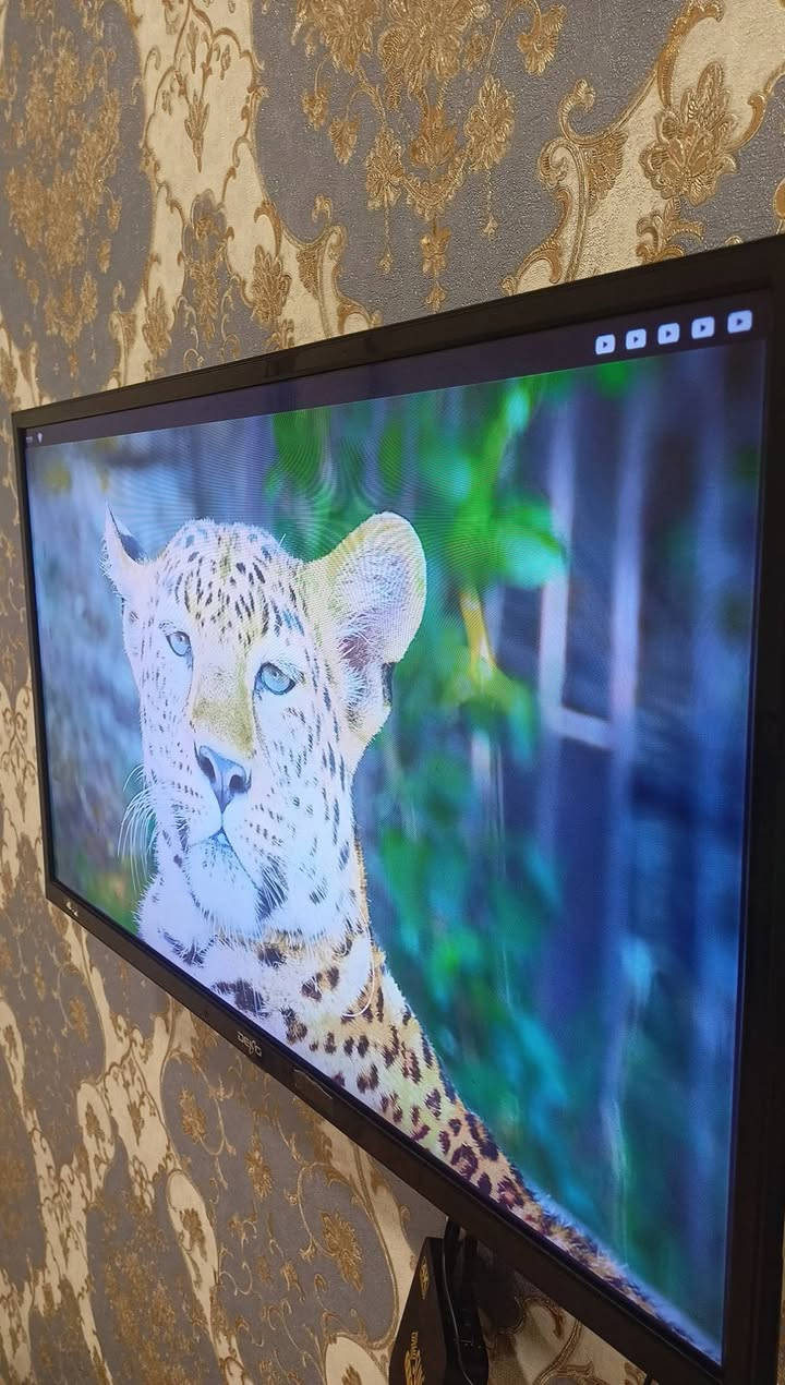 للبيع بلازمة حجم 32 فول دقه سعر70 بيهه مجال تواصل ***********
