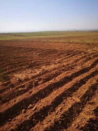 دونمين ونصف • واجهة ٦٠م • أبي غرق