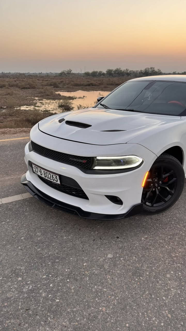 اللهم صلي ع محمد وآل محمد
السلام عليكم 
جارجر sxt بيع او مراوس 
محدثة كت SRT
مديل 16 وارد كندي داخلة كفال وبل عراق بيهة حادث جاملغ وبنيد محدث 
السيارة تو ويل 
محرك 6 سلندر 3600
رقم ذقار بسمي السيارة 
موصفات
كشنات تدفئة
شاشة كبيرة
كامرة خلفية 
تحكم ستيرن جهتين 
مثبت سرعة 
كير 8نمر طيارة 
تخم تاير جديد 
حدادة امامية خلفية جديدة 
ماشية 142الف 
ملاحضة /يوجد بعض الرصعات والخدوش 
السيارة نضيفة وجاهزة تدفئة وتبريد  مكفولة مكينة وكير مال جناي متعوب عليهة ومابيهة اي نقص السعر 165وبي مجال  مكان السيارة البصرة الرقم /*********** اي ستفسار اتصل
مكلف بل نشر
