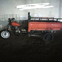 ستوته • بدون اوراق • الزبير