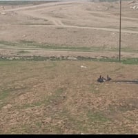 أرض زراعية • ٩ دونم • حمام العليل