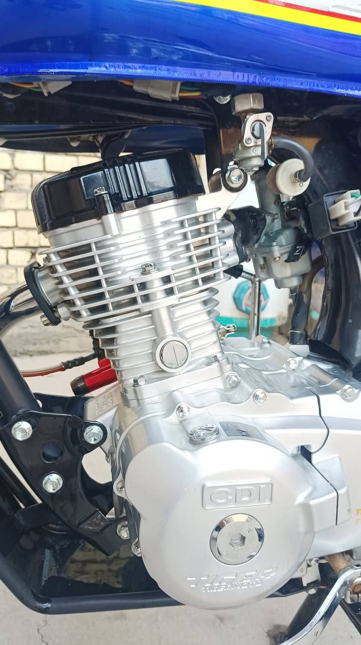 السلام عليكم 
دراجة تايگر وكيل موديل 25 الدراجه كفاله عامه 
السعر 700 وبيها مجال بسيط مكاني بابل القاسم 
هـ ***********
