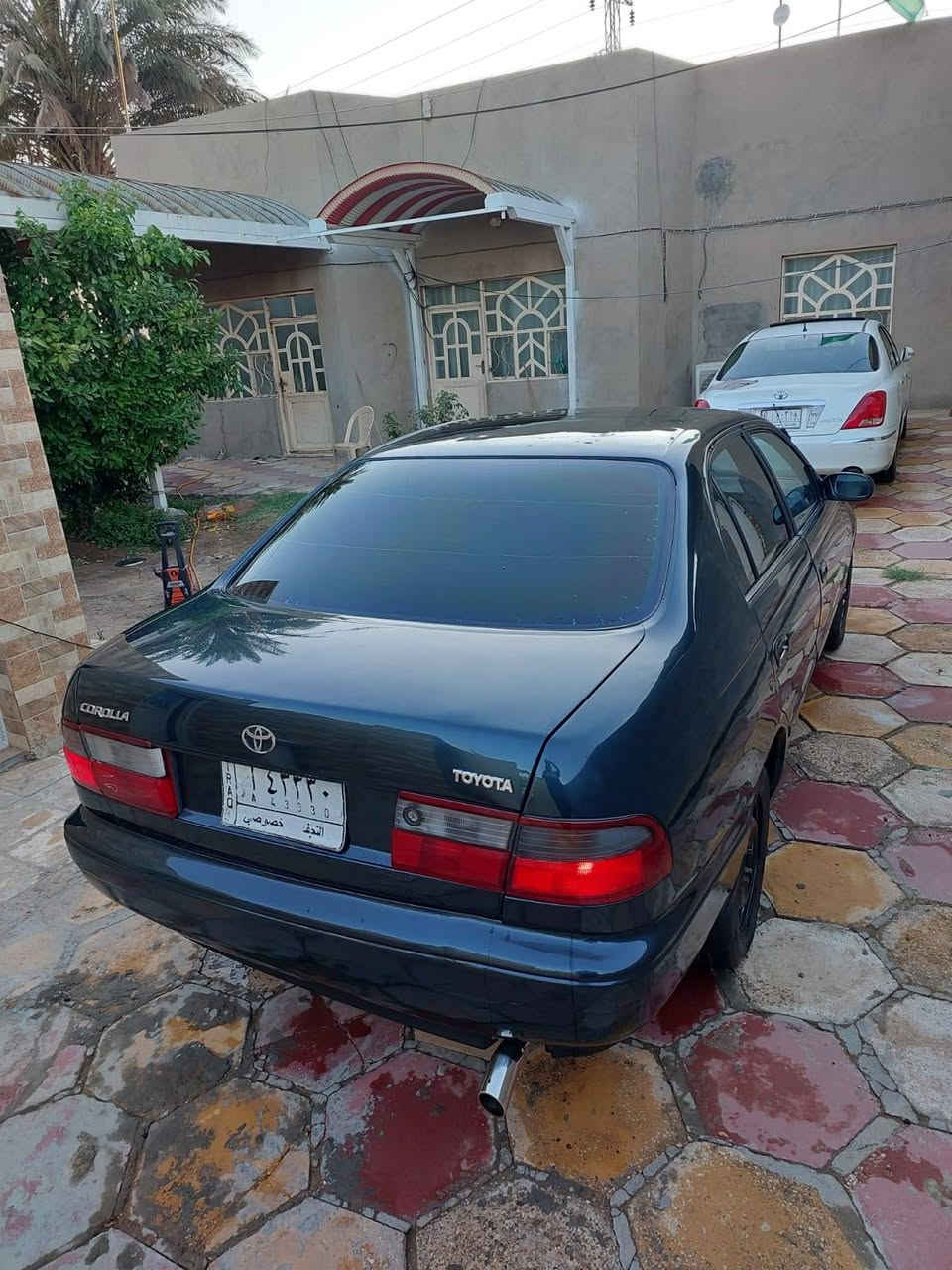 يا الله
سلام عليكم كرونه نفخ مديل 94 رقم نجف مشروع وطني مداور ثاني يوم مكفوله من كص وضربه ونقل جثه مكينه وكير جدد حداديه جديده تخم تاير جديد كهربائيات كله جديده تبريد ثلج سياره جاهزه على اخير حبايه سعر 50 وبيه مجال بصيط شراي يتصل *********** مكاني نجف ناحيه الحريه
